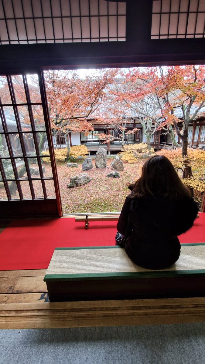 lga16f's tweet photo. @cdelamor_ #Mi2025RTVE . Contemplar la belleza. Diciembre en Japón. https://t.co/Te0sqG7RiT