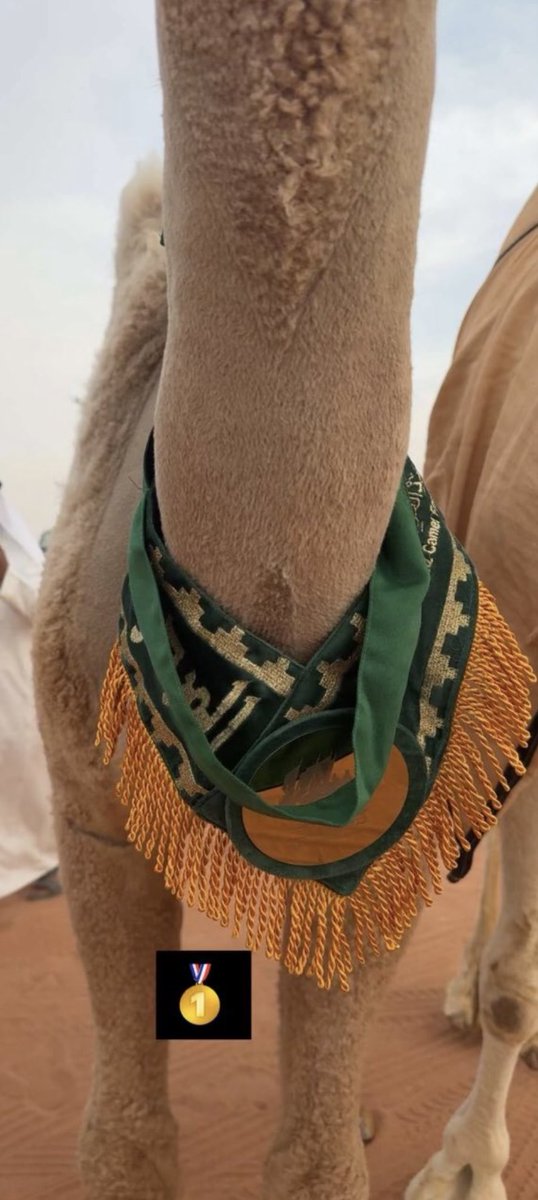 Meshal ✨ tweet media