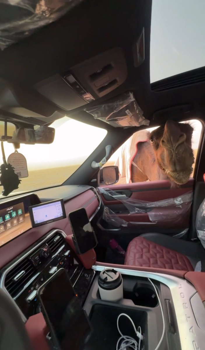 في العرب غالي وفي الذود عجمٍ غـاليه
جعل قلبي من مفارق حداهن ما يروع

-