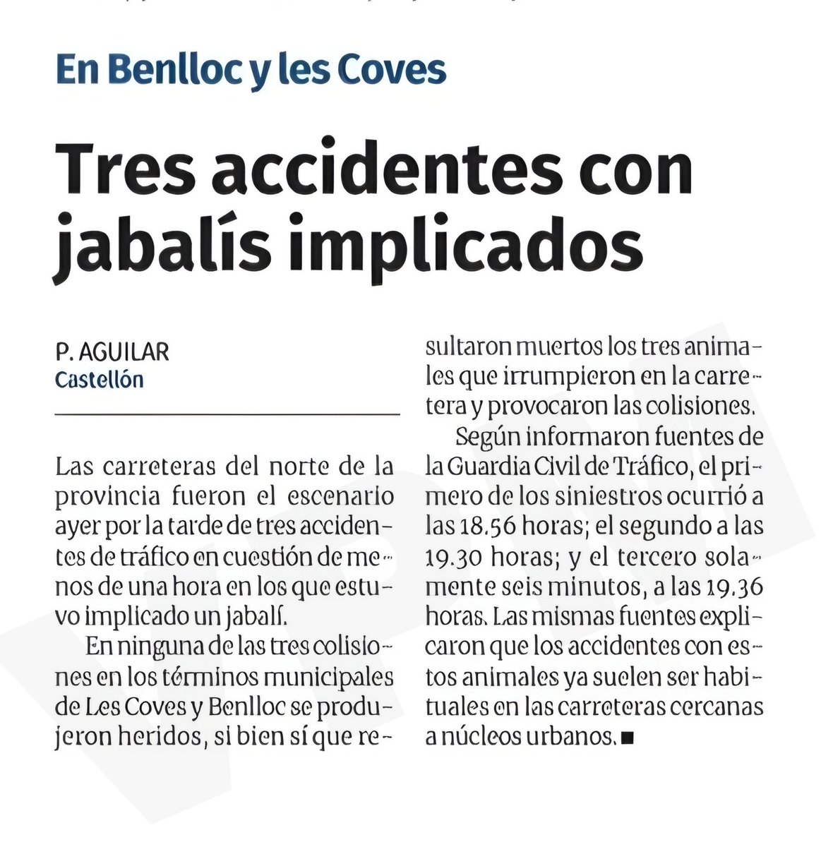 🇪🇸🐗🦌🐂🇪🇸 (@el_onubense) on Twitter photo 