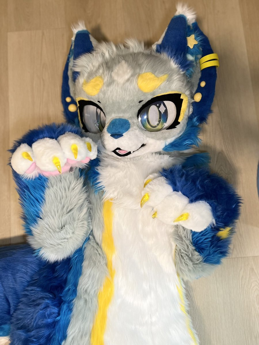 playing on the floor..! 🐾🩵