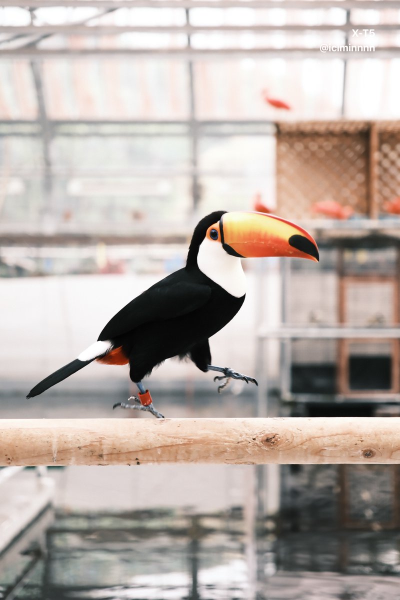 いちみん。 tweet media