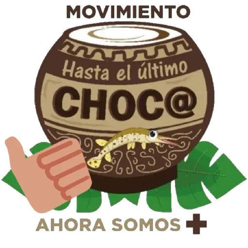 Síguenos