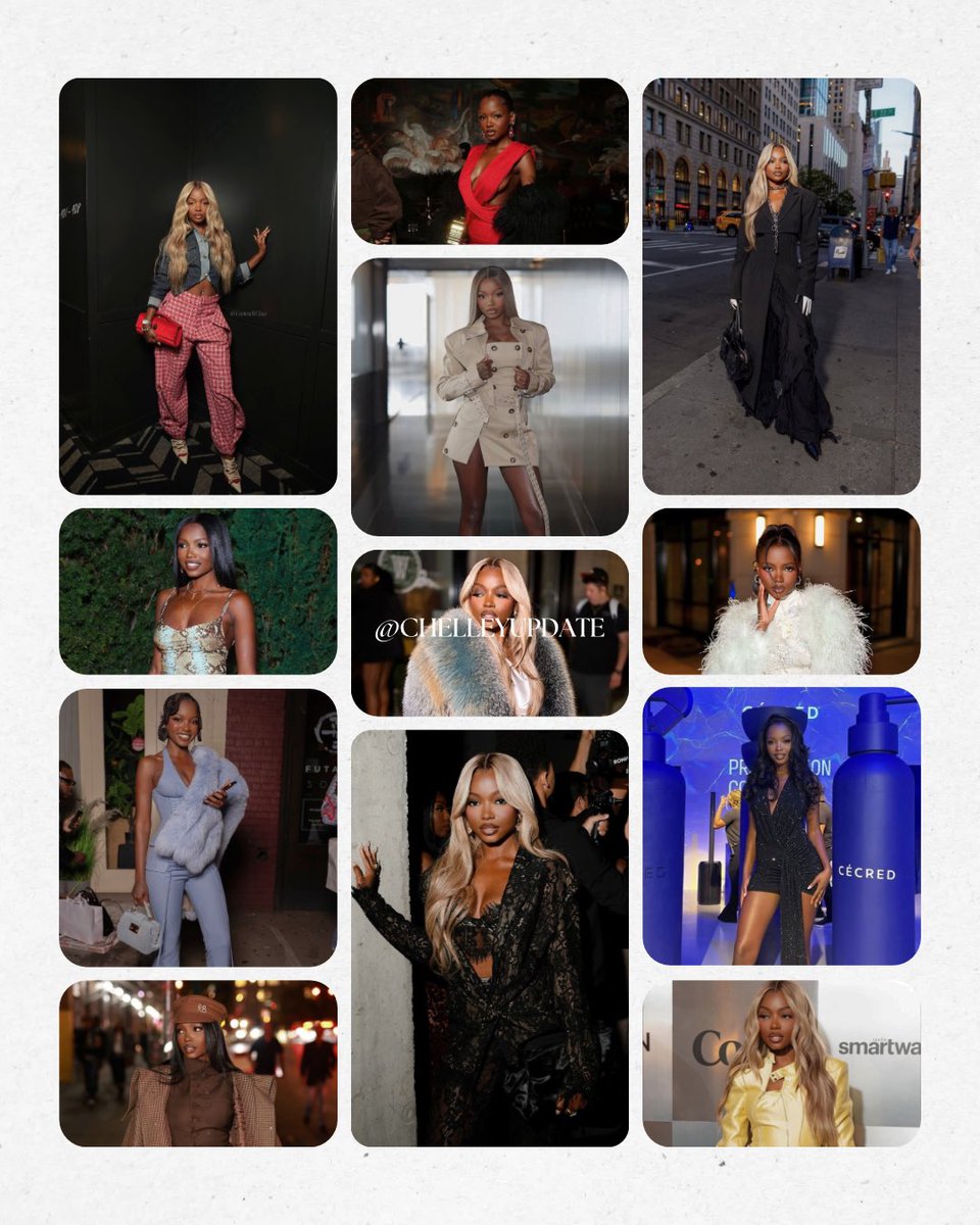 CHELLEY UPDATES + MORE ✧. tweet media