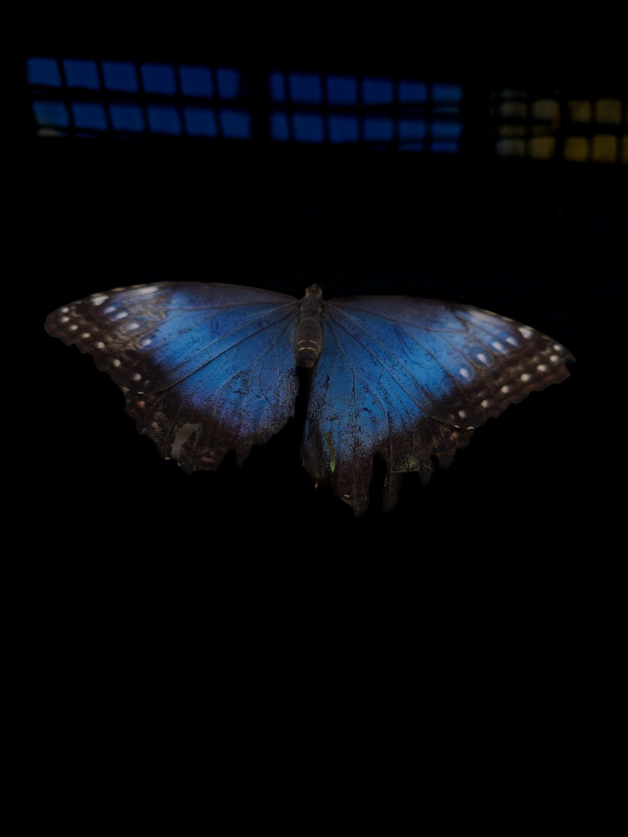 NFT_WORK_SPACE's tweet photo. #nft #photograghy #nfts #nftart #NFTCommmunity #art #photo #kunst #NfTProject #NFTS #photoart #video #animation #artoffeelings https://t.co/P6HuPGVOyM