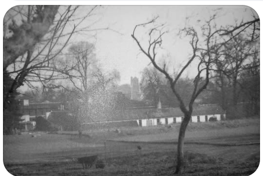 Michael Rosen 💙💙🎓🎓 NICE 爷爷 tweet media