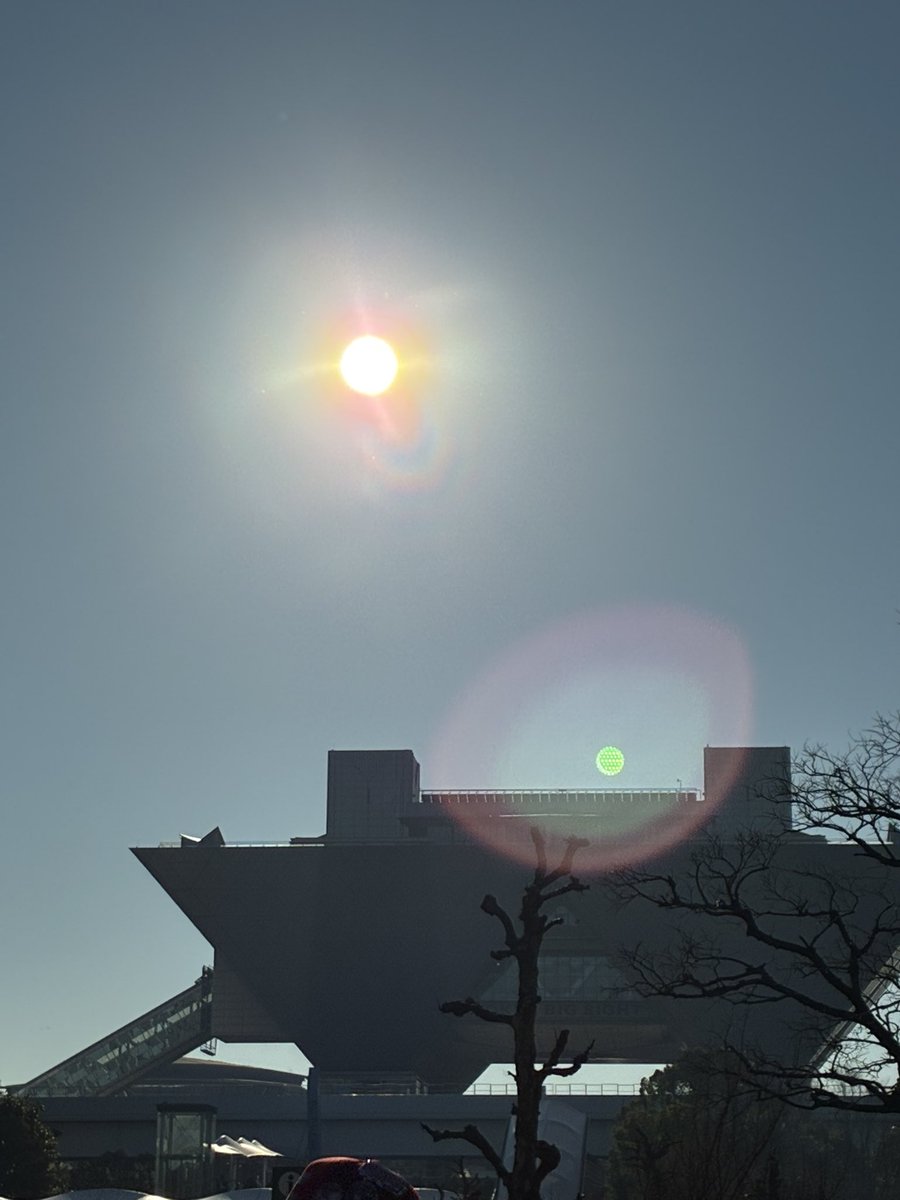 あまりにも逆光