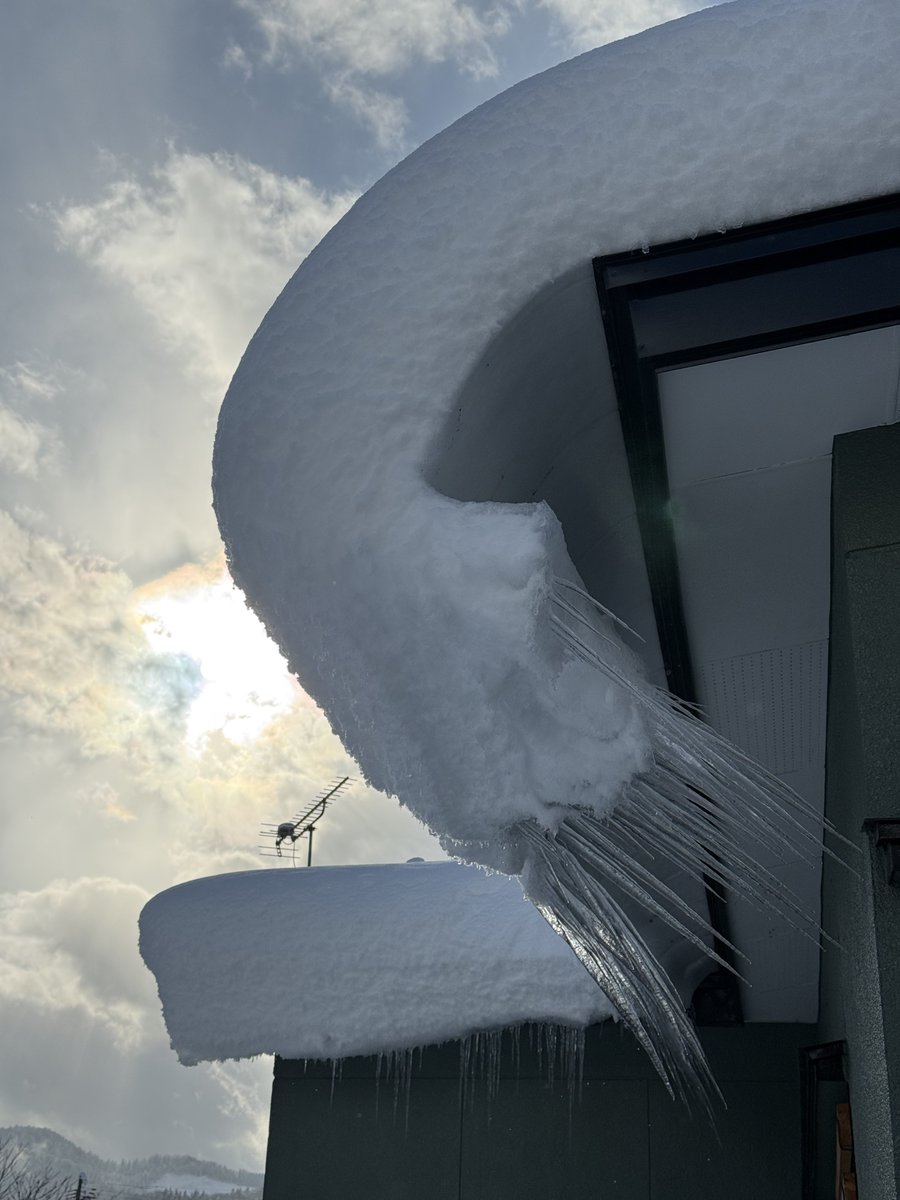 おはようございます☀
今日は水回りの掃除して甘栗でも作ろうか