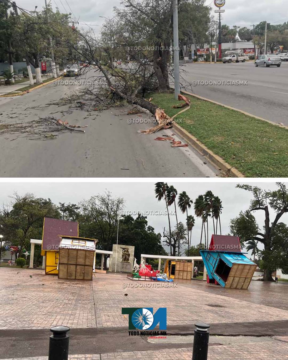 #CdVictoria El frente frío 25 provocó caída de árboles, ramas, cables y apagones en diversos sectores de la ciudad, sin personas lesionadas.  Leer más: todonoticiasmx.com/estado/frente-…