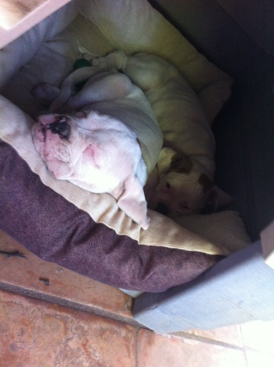 SmittyPlaysYGO tweet media