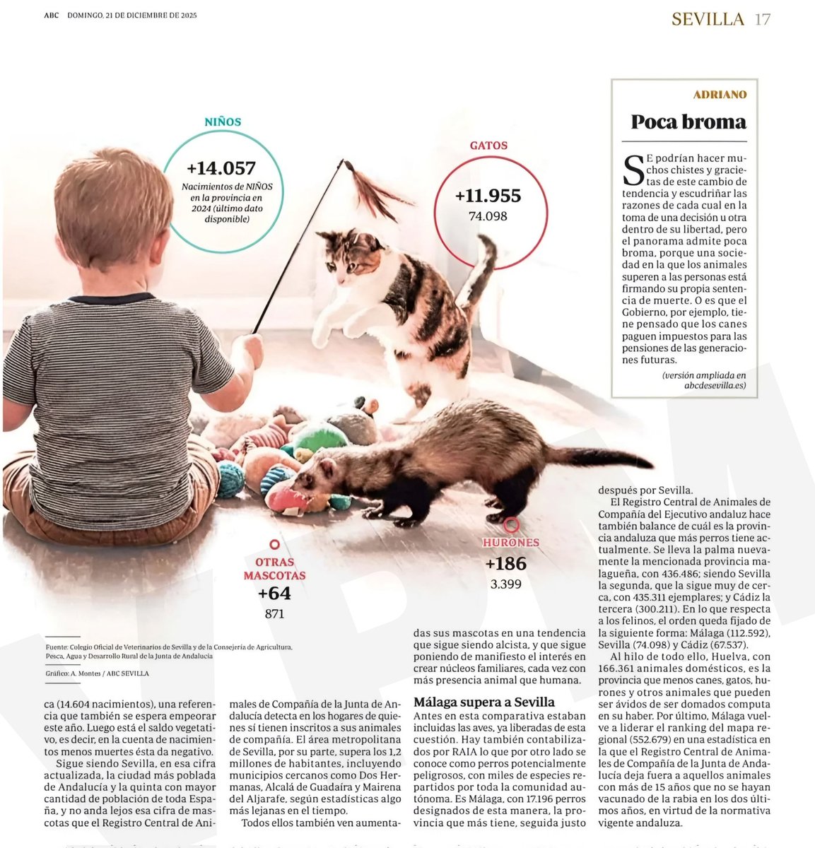 🇪🇸🐗🦌🐂🇪🇸 (@el_onubense) on Twitter photo 