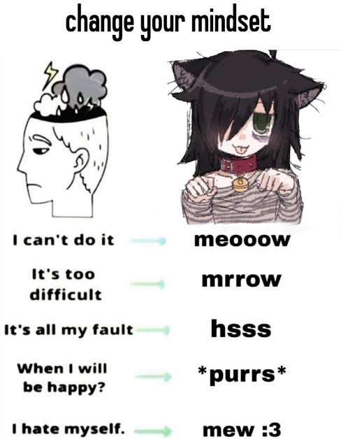 Tomoko Images (@Toko_Daily) on X