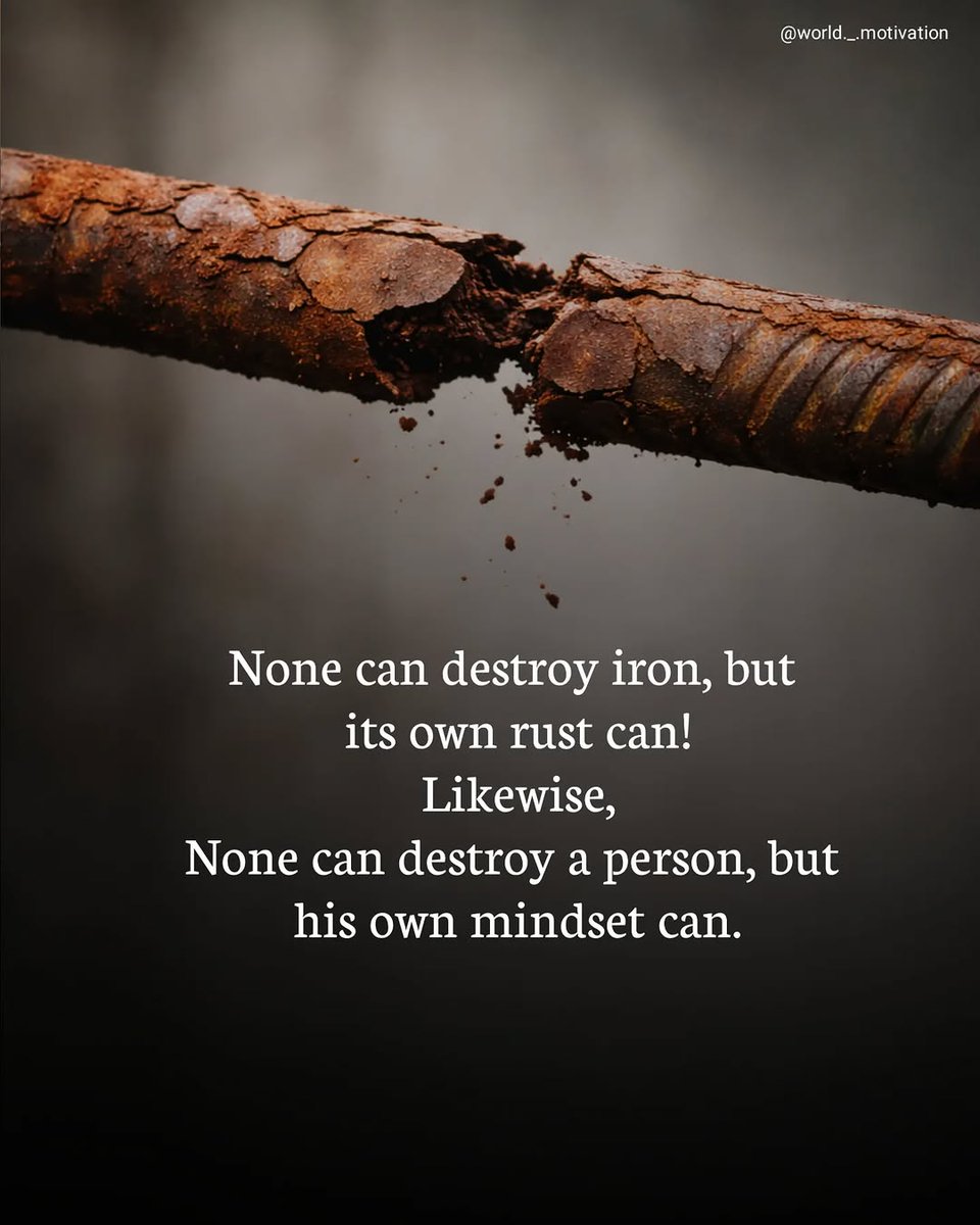 Mind Essentials (@mind_essentials) on Twitter photo 