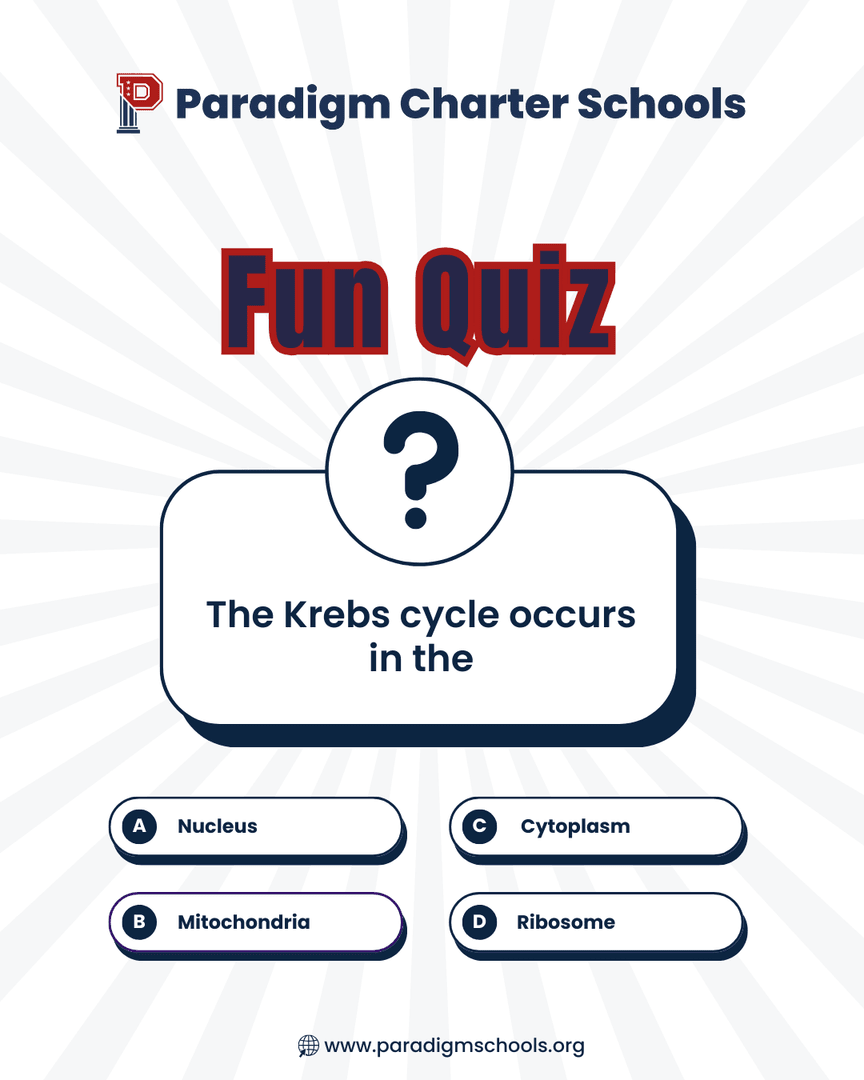 paradigmschool's tweet photo. Science - it's the method we use to understand the universe. It has been used to unlock mysteries and gain access to more knowledge than previous generations would have believed possible.

Where do you think the Krebs cycle occurs?

Let us know in the comments. https://t.co/bjHhhOnlki