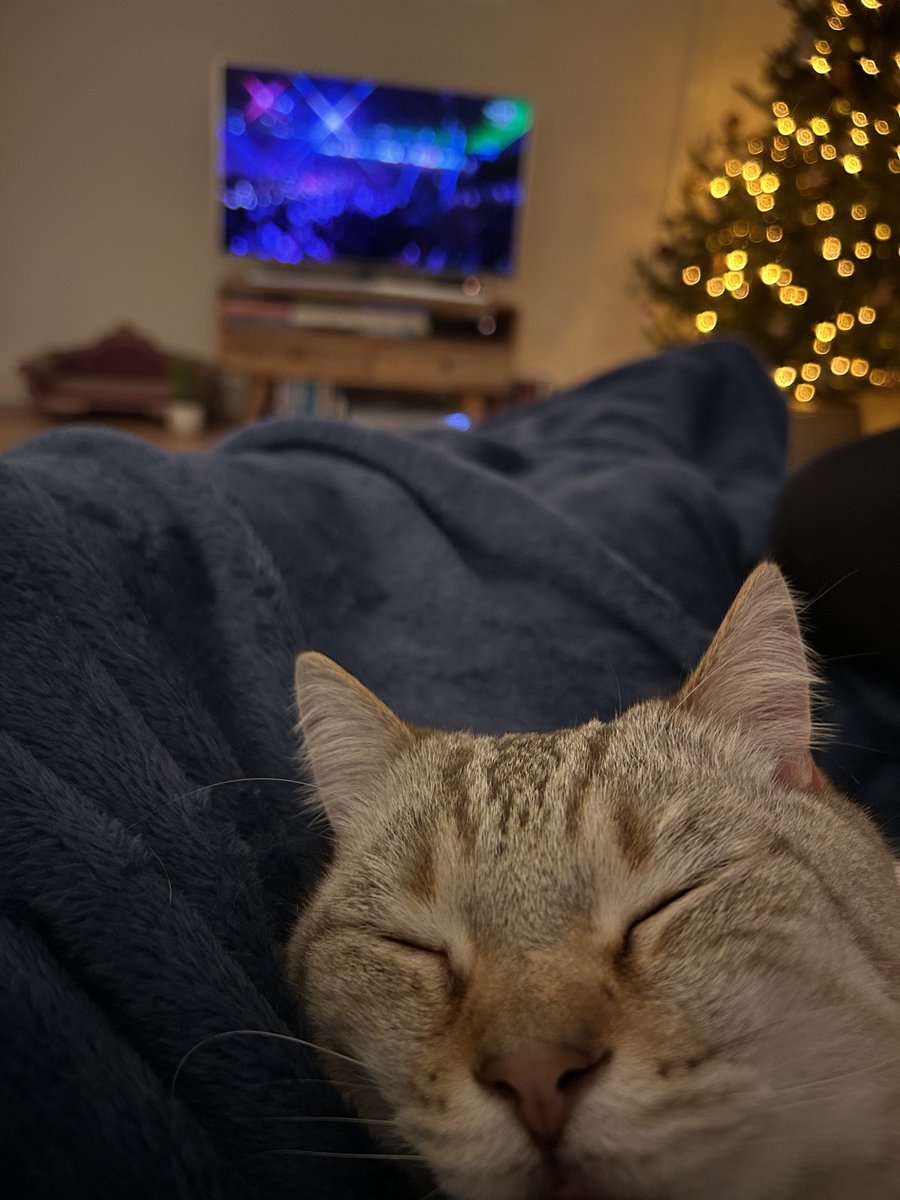 Nic 🍍 tweet media