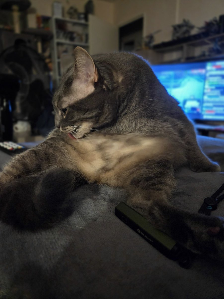 MrChaminy's tweet photo. Aujourd'hui c'est l'anniversaire de nos 7 ans de vie commune avec Lucky, joyeux anniversaire mon petit Lulu j'espère en vivre encore beaucoup d'autre avec toi ! https://t.co/WxcWGTxSEv