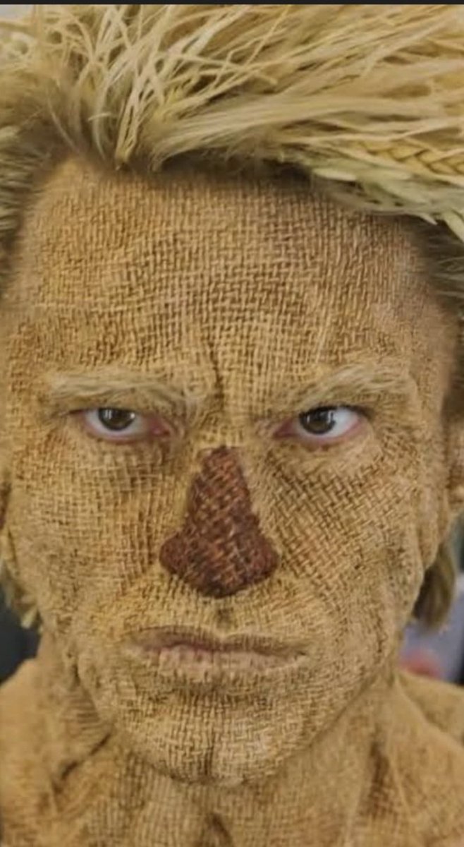 Jessie IS SEEING ARIANA🌺 tweet media