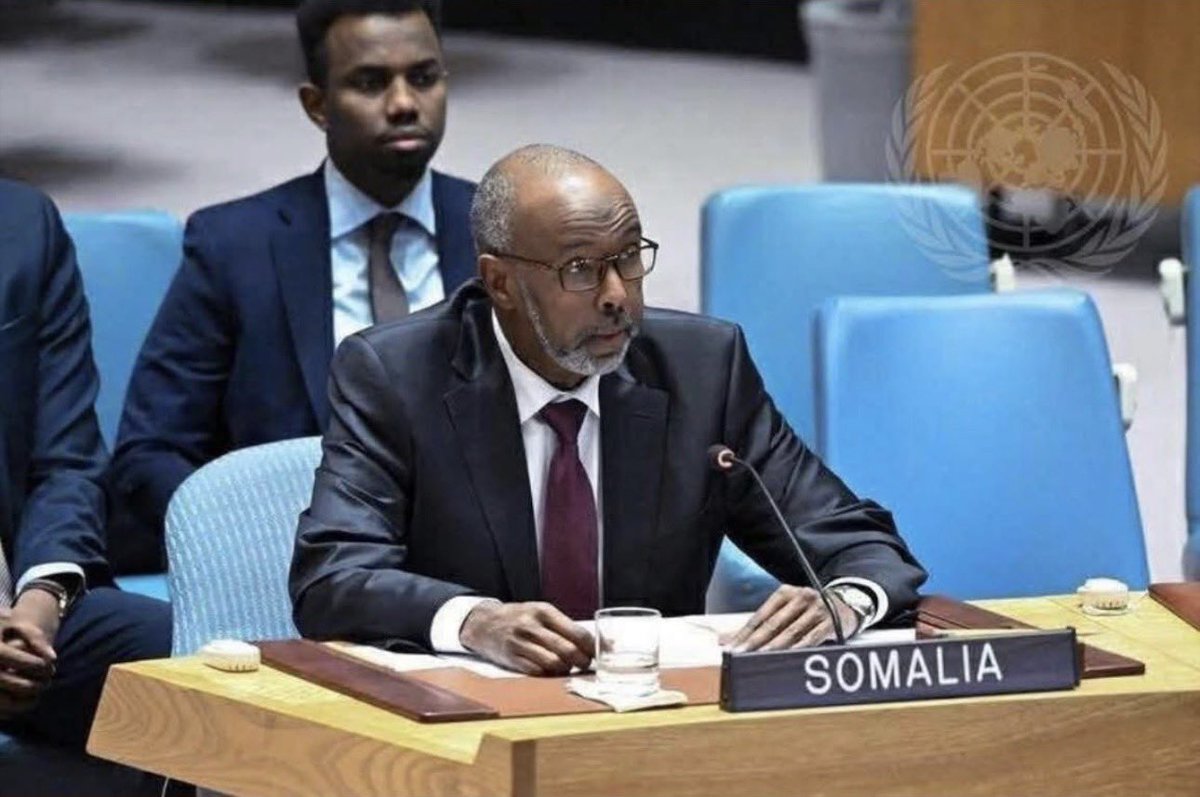 “It is extremely shameful for the Security Council to host an individual representing the SRLL to lecture us about an alleged massacre in Somaliland, while he himself has blood on his hands, having massacred children, women, doctors, and wounded people inside a hospital.”