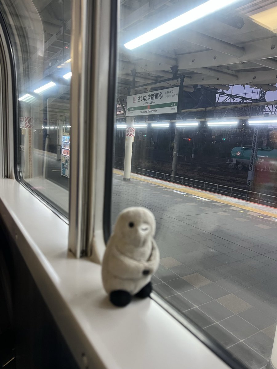 ☆ペンギン☆ (@penguin00000001) on X