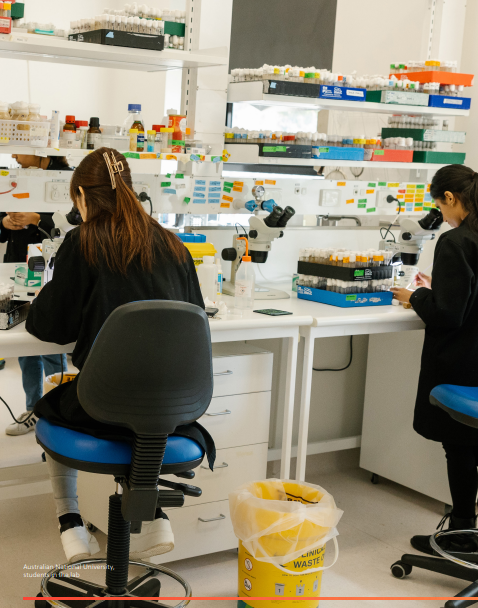 Research Australia tweet media