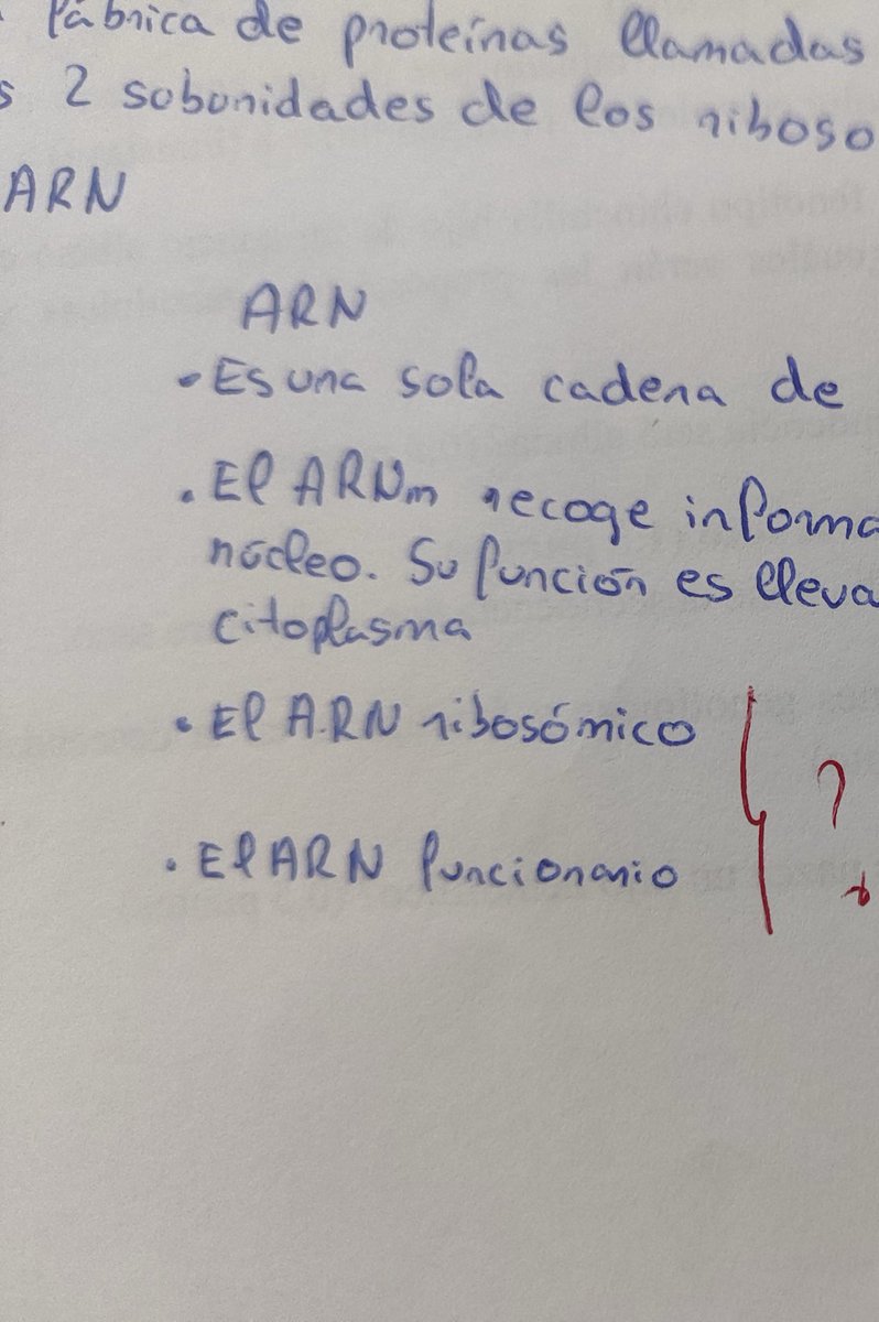 ♥ Eℓvirα ツ Cuenta personal tweet media