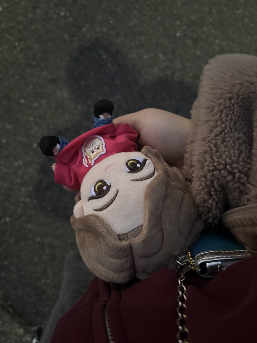 あんこ🥨 (@annkokosian) / Posts / X