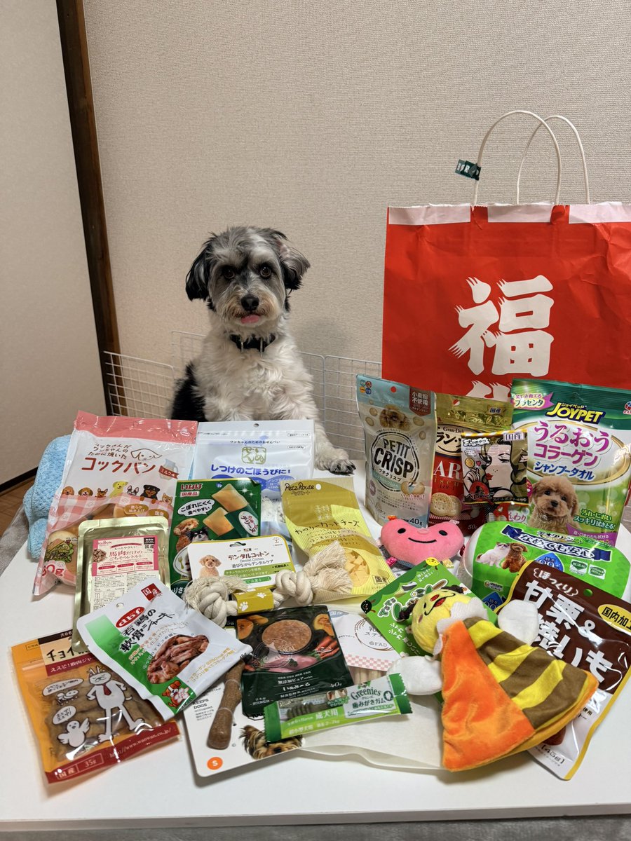 ﾁｬｳﾃｾｲ@4/10~個展│表参道 (@chautesei) / Posts / X