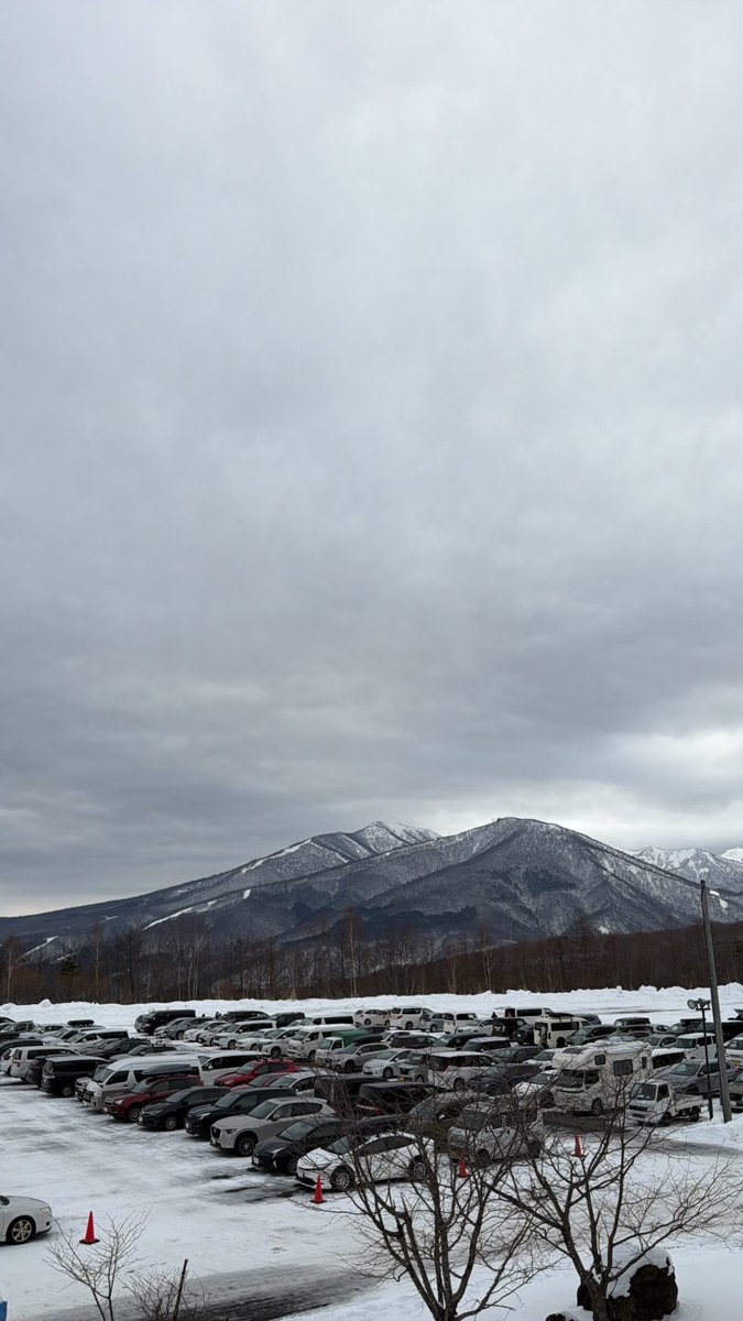 Shin Kato tweet media