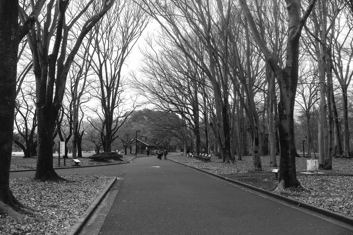 090oooo's tweet image. Leica M Monochrom＋SUMMILUX-M f1.4/35mm ASPH