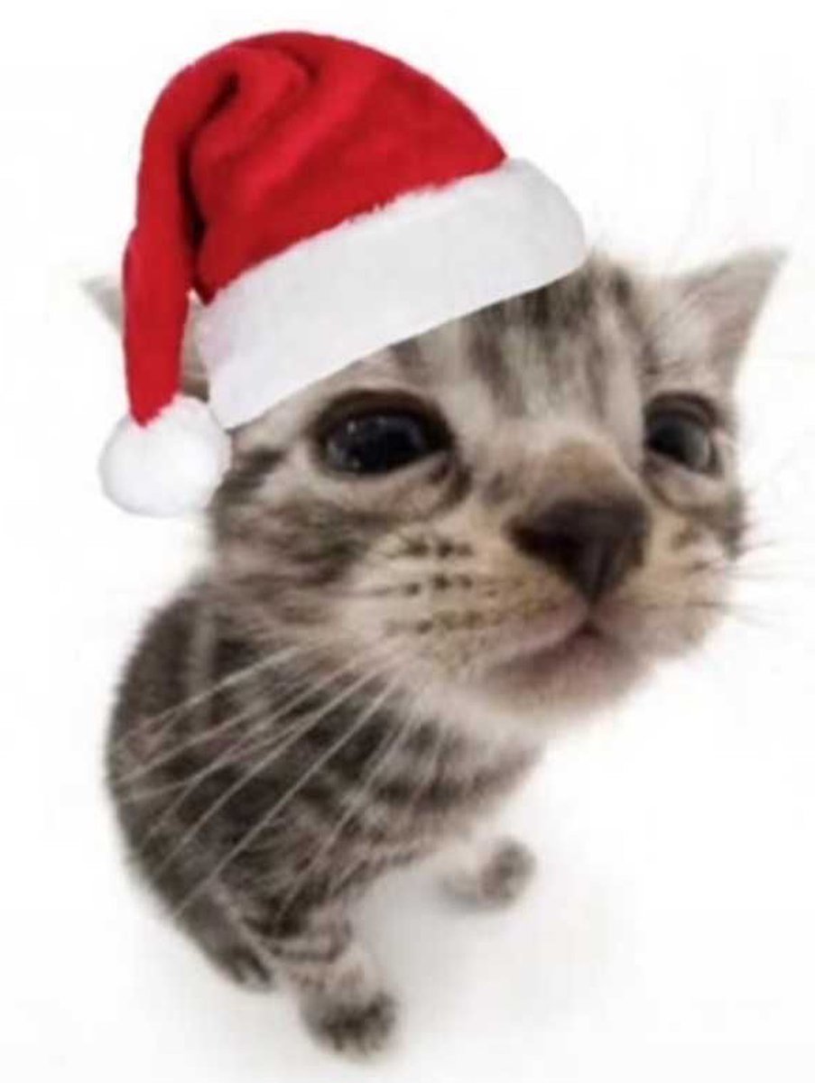 做梦的鱼 tweet media