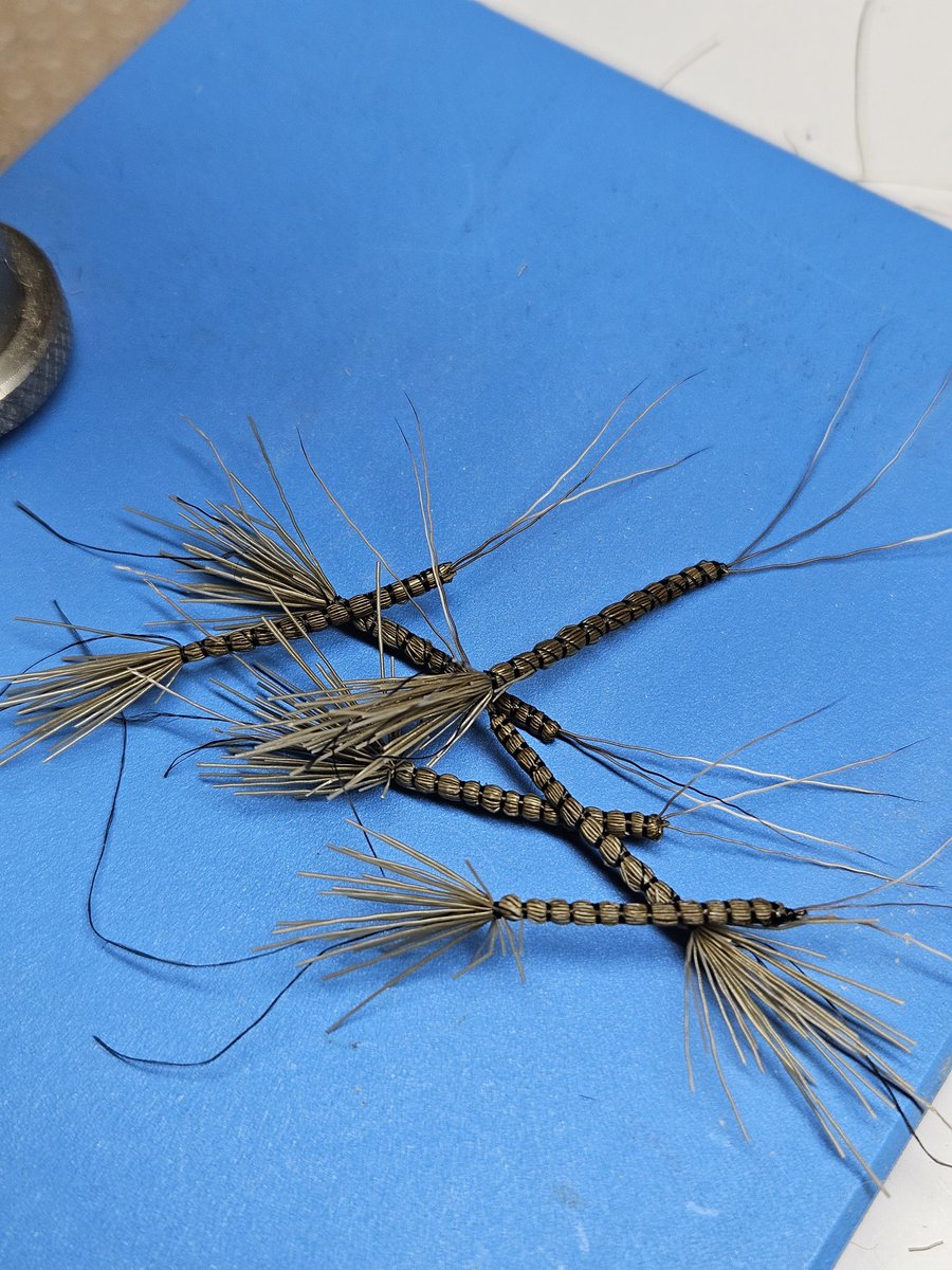 Robster22 tweet media