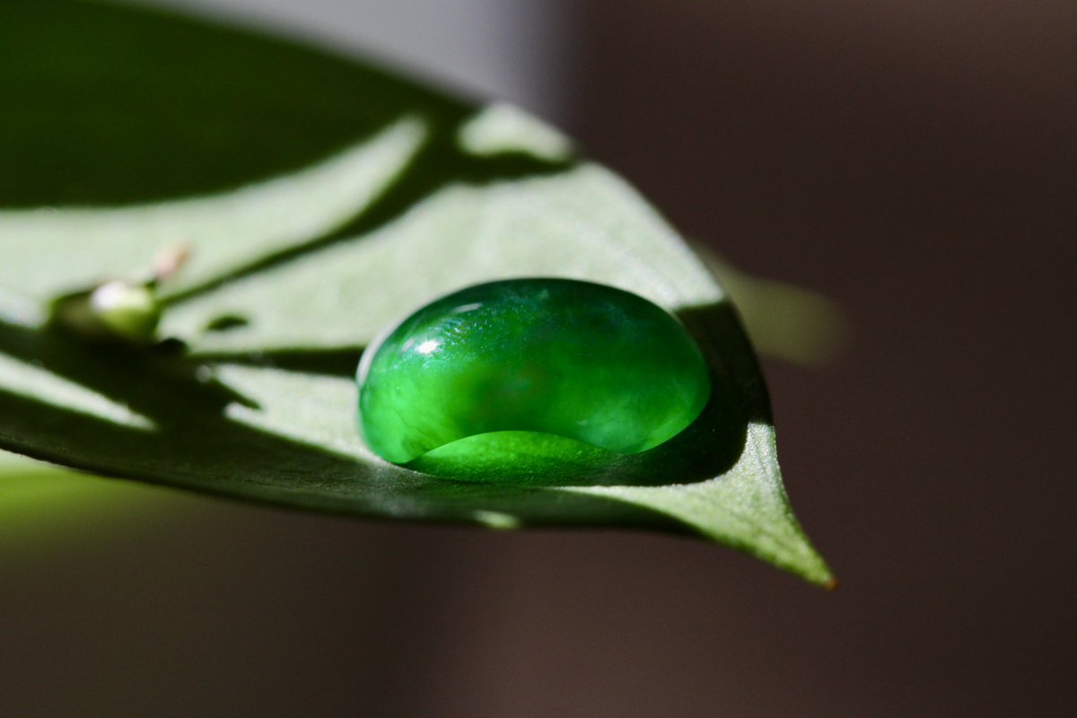 パワーちょちょぎれてる翡翠さん お客さんがゲット‼️その4 そして今日も参戦😁👍最後にしっかり翡翠を
