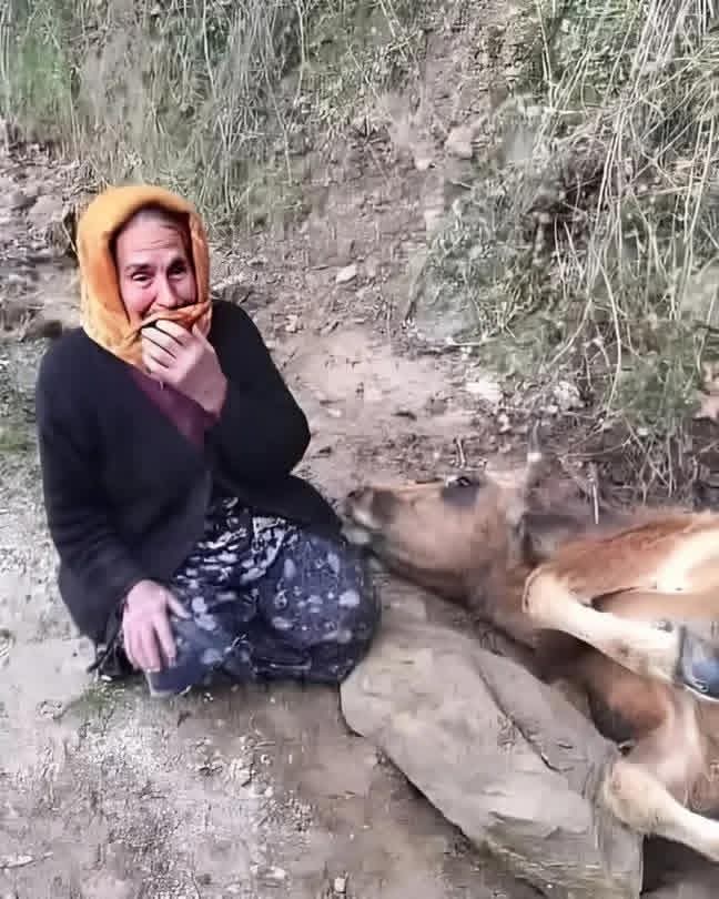 درة يمنية 🇾🇪 tweet media