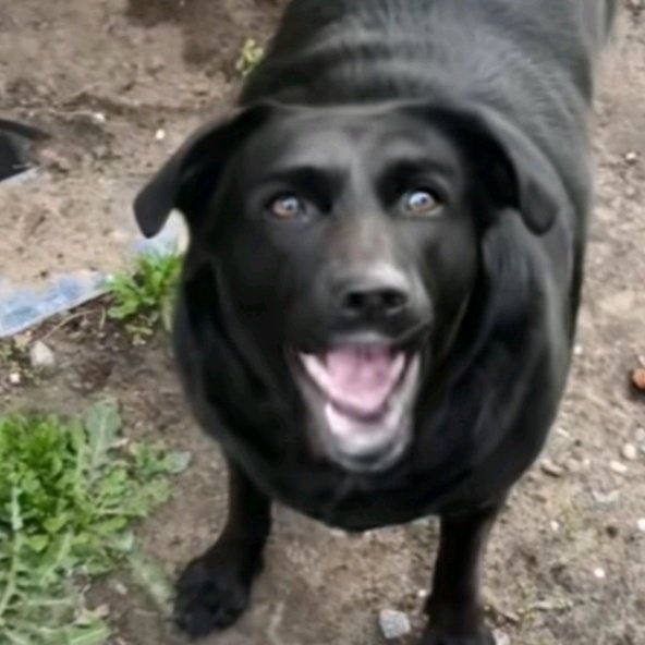 lvsueme's tweet image. prendí el aire acondicionado y se fue la luz en todo el barrio