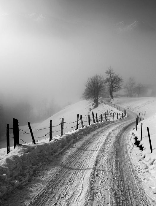 MajaSenda's tweet image. 