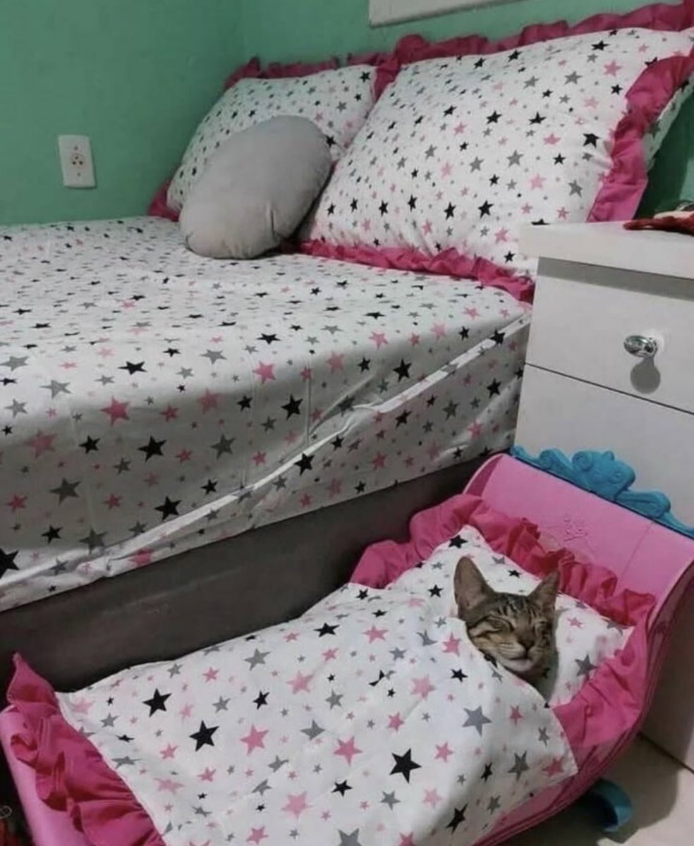 Miaw (@miaw) on Twitter photo 
