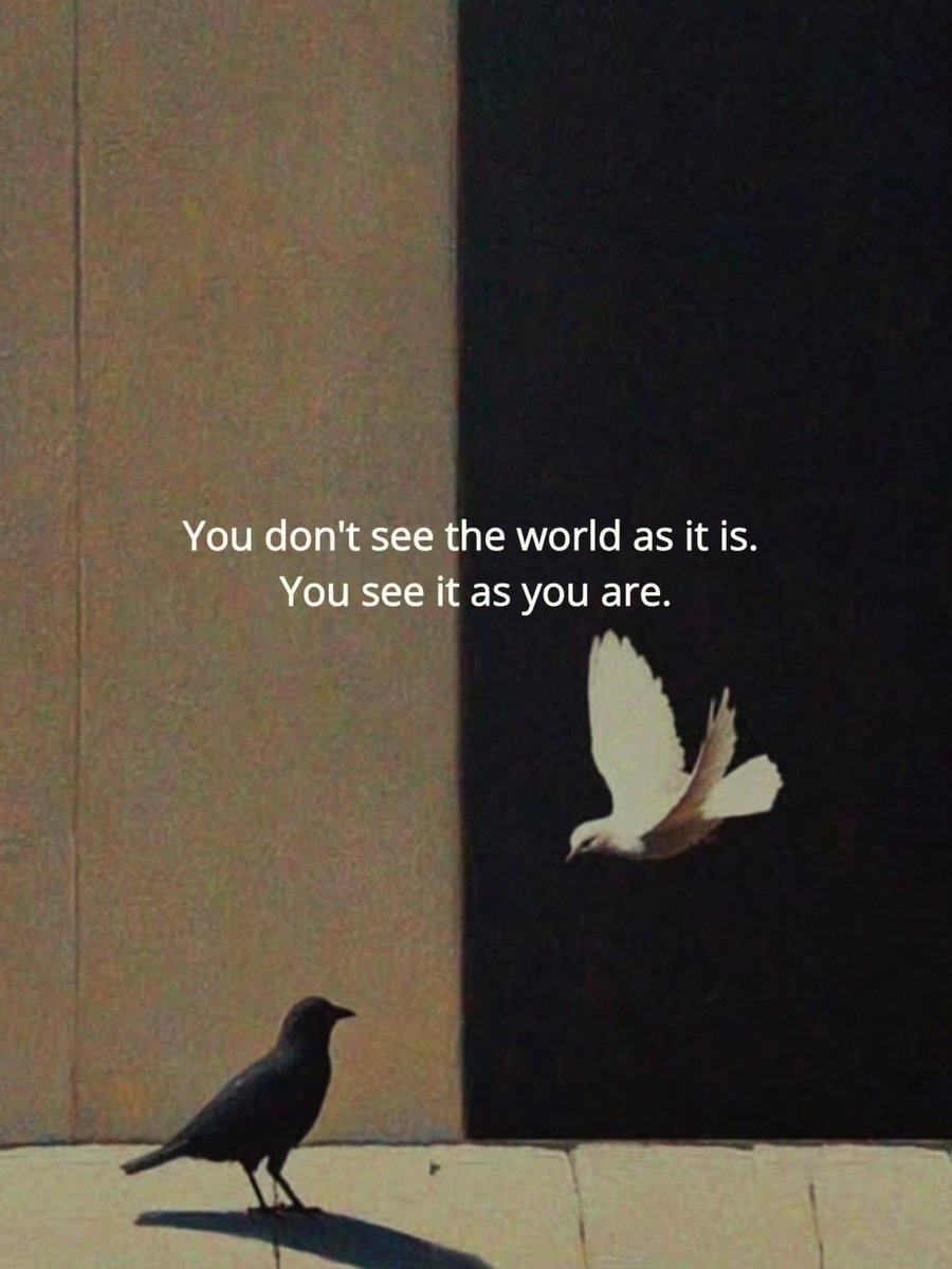 Hazel (@hazel789103) on Twitter photo 