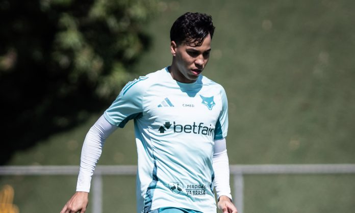 Venê Casagrande tweet media