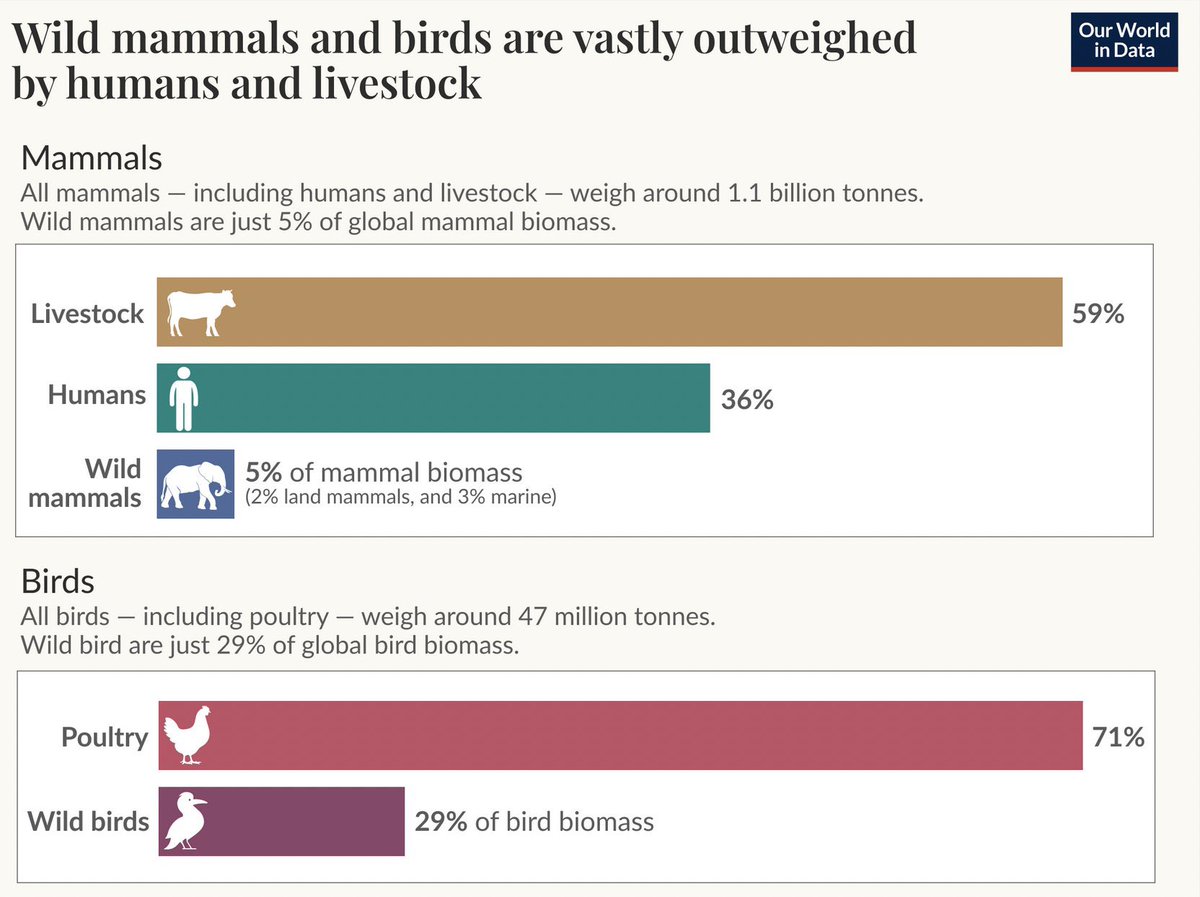 “exceso de fauna salvaje” es para echarse a llorar 
ni al 5% llegan comparados con los números que se mueven en ganadería + humanos
decid que os molesta cualquier animal con el que tenéis que convivir sin tenerlos bajo vuestro yugo y terminamos antes sin mentir tan descaradamente
