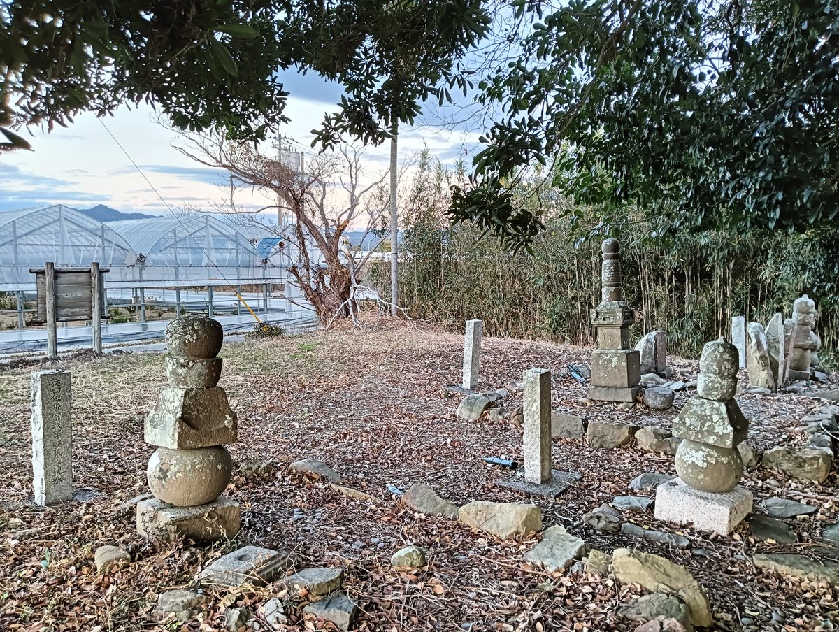 ちえぞー ちえぞー (@owari_chiezo) / Posts / X