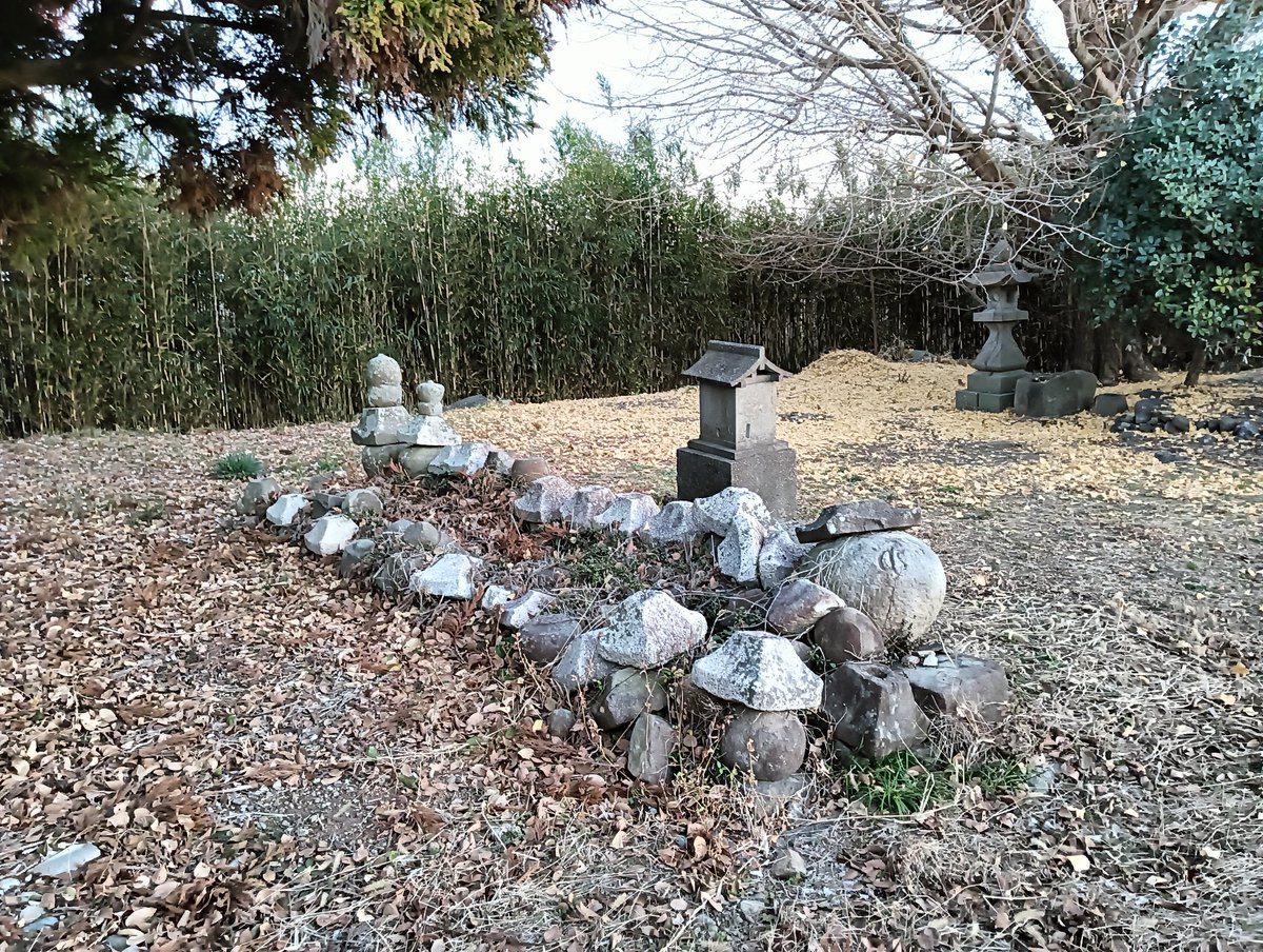 ちえぞー (@owari_chiezo) / Posts / X