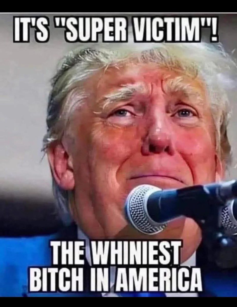 Pissed off American Voter💙💙💙🌊🌊🌊🌊 tweet media