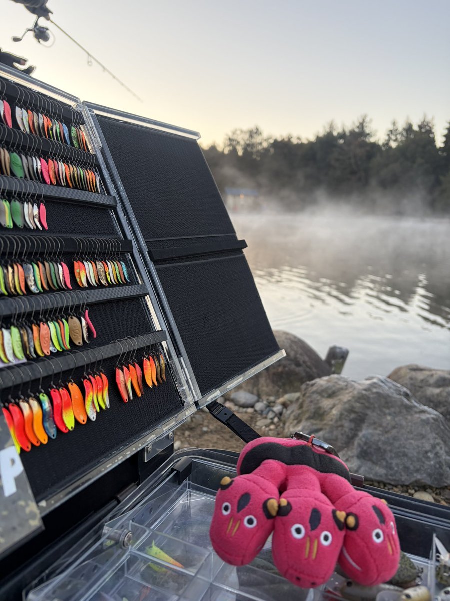 うっちー (@uchida_fishing_) / Posts / X