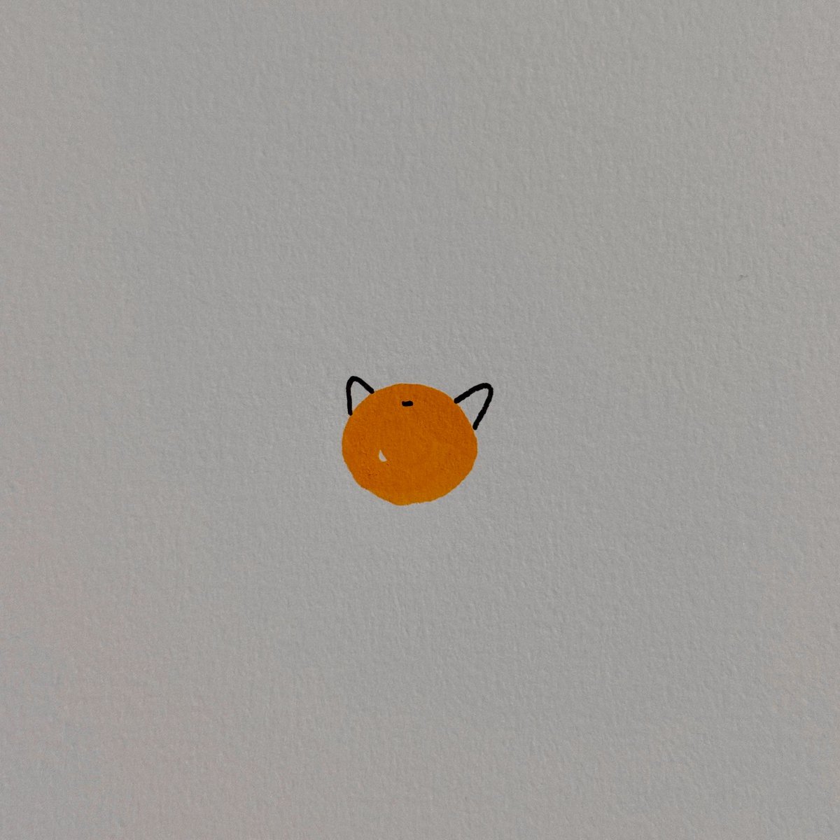 poorlycatdraw's tweet image. an orange cat