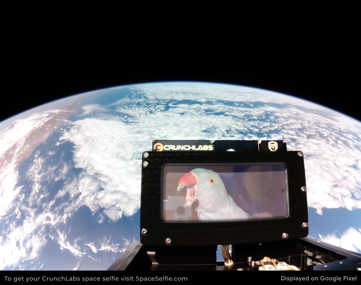 YourPromoPilot's tweet photo. Tota is ready to take our promo pals to new heights in 2026. That or world domination – I'm a little unclear. Get your own space selfie at https://t.co/W0fZEDo8Fo for a fun diversion. https://t.co/pHJOxTNBF0