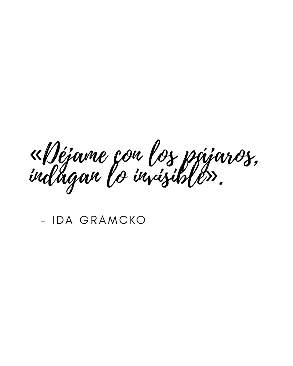 J. G. Ordoñez tweet media