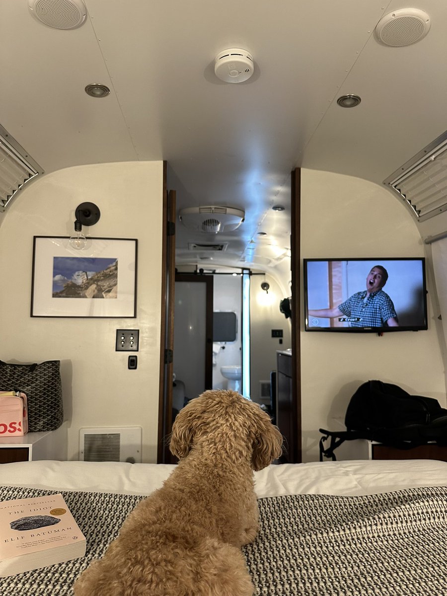 Out in the woods with spotty service but still managed a few sparkles this past weekend ✨🌲🪵

#PokemonGO
#PokemonGOApp