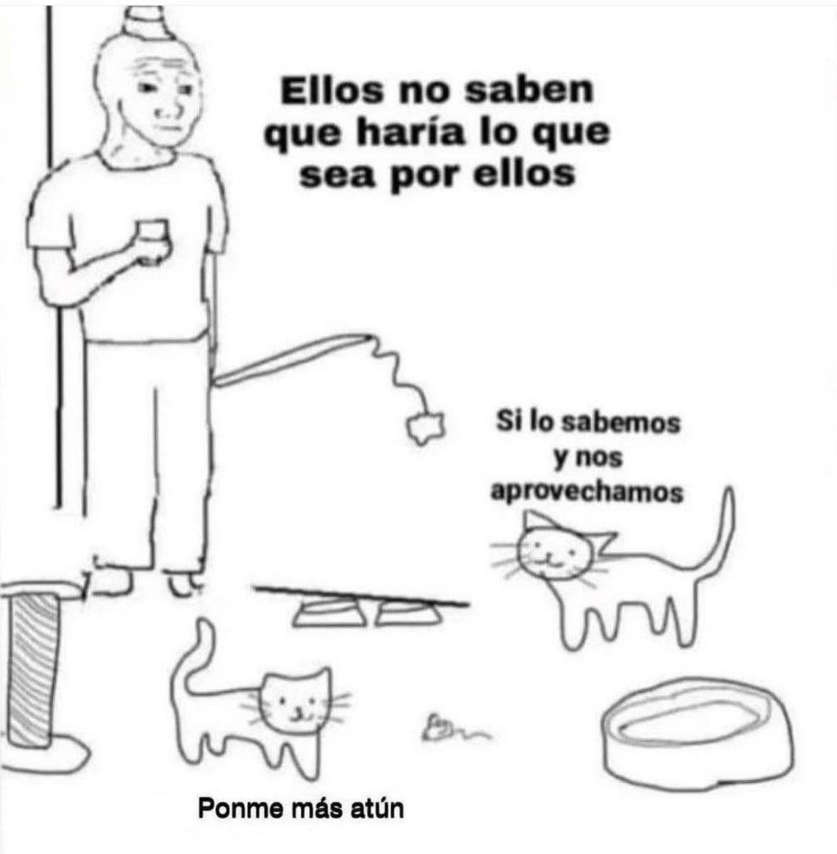 piña sin pizza (@skereunpesado) on Twitter photo 