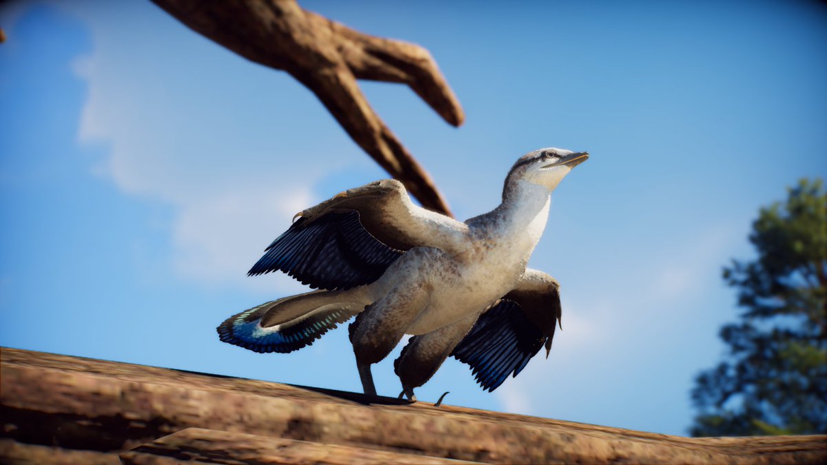 prehistoric fauna photography department 🦖 tweet media