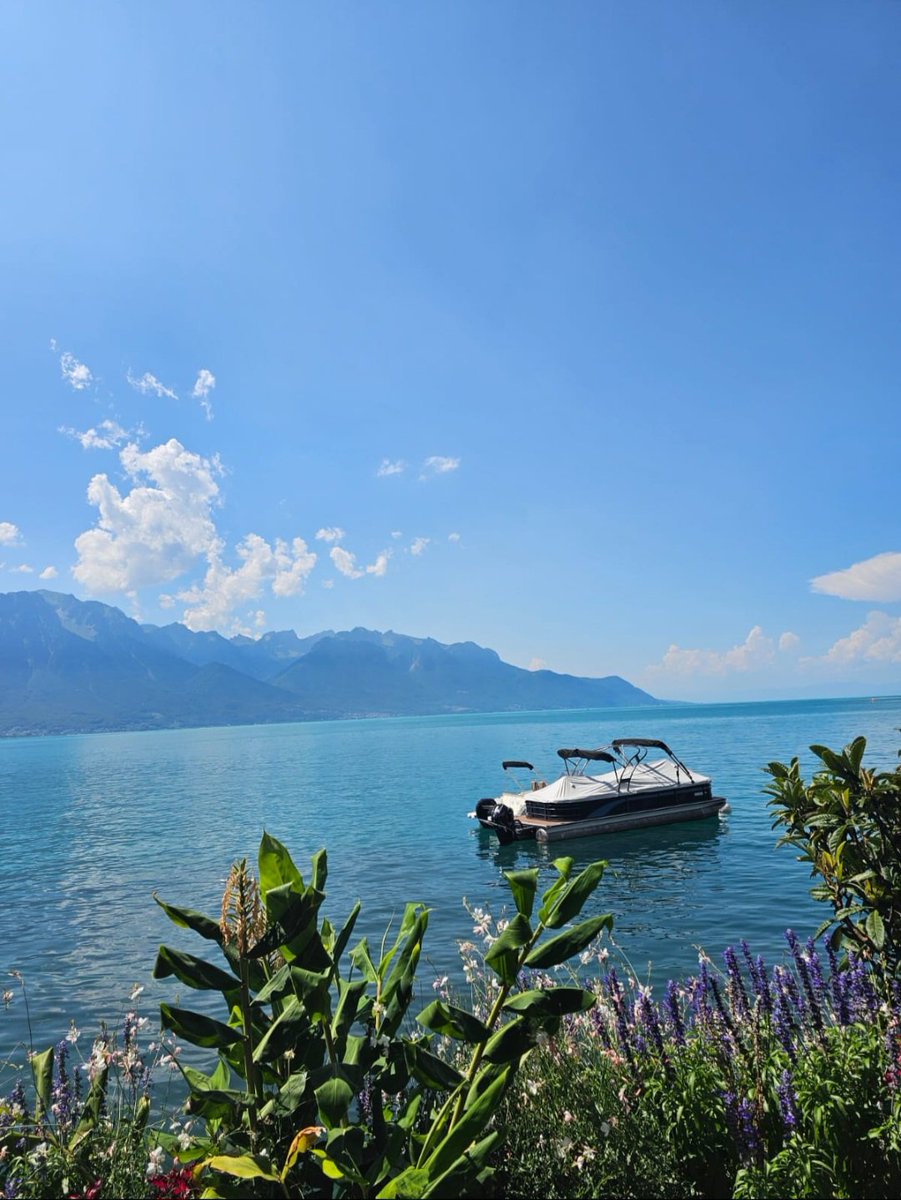 oceanalisAI's tweet image. Switzerland 🇨🇭 | Montreux in summer

Did you know that at Montreux, on Lake Geneva, you can find beach-like spots?
Taking a swim in the lake was insanely refreshing — pure summer vibes. 🌊☀️